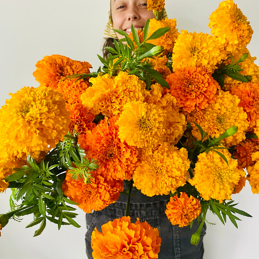 
            
                Load image into Gallery viewer, Marigold Bouquet
            
        