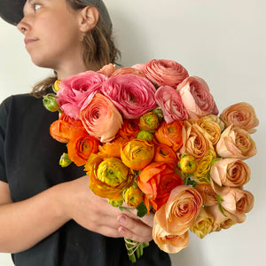 Ranunculus (mixed)