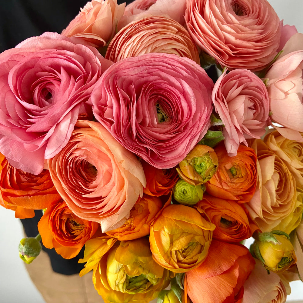 Ranunculus (mixed)