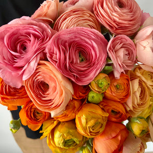 Ranunculus (mixed)