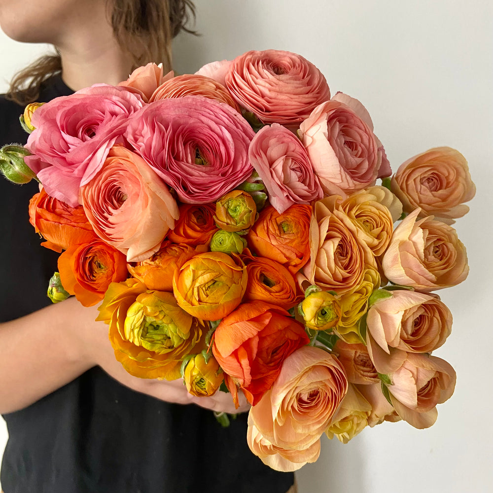 Ranunculus (mixed)