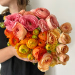 Ranunculus (mixed)