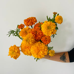 
            
                Load image into Gallery viewer, Marigold Bouquet
            
        
