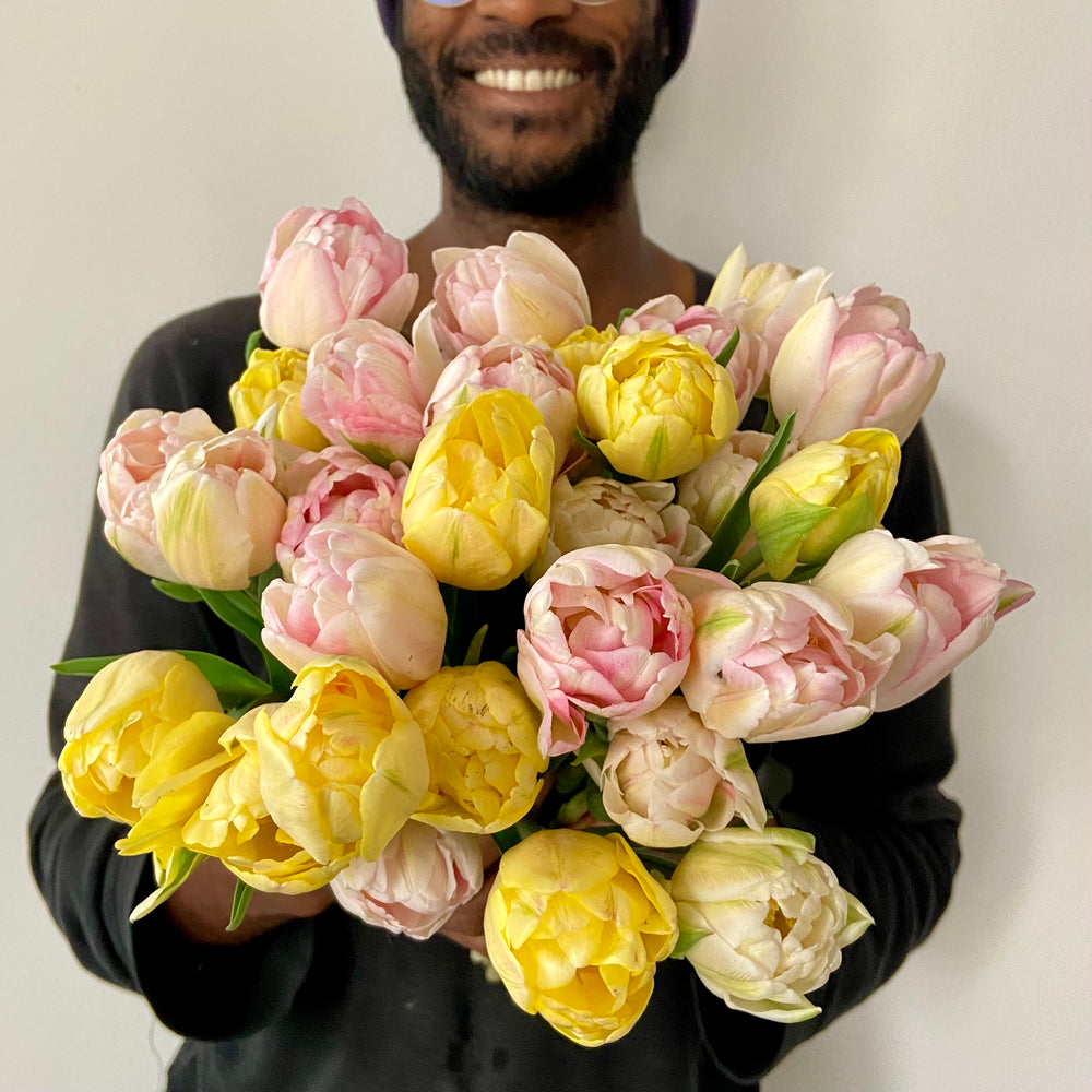 Tulip Subscription