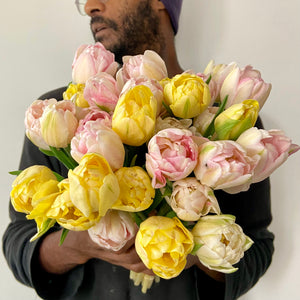 Tulips (Strawberry Lemonade)