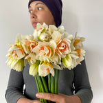 Daffodils (Spring Mix)